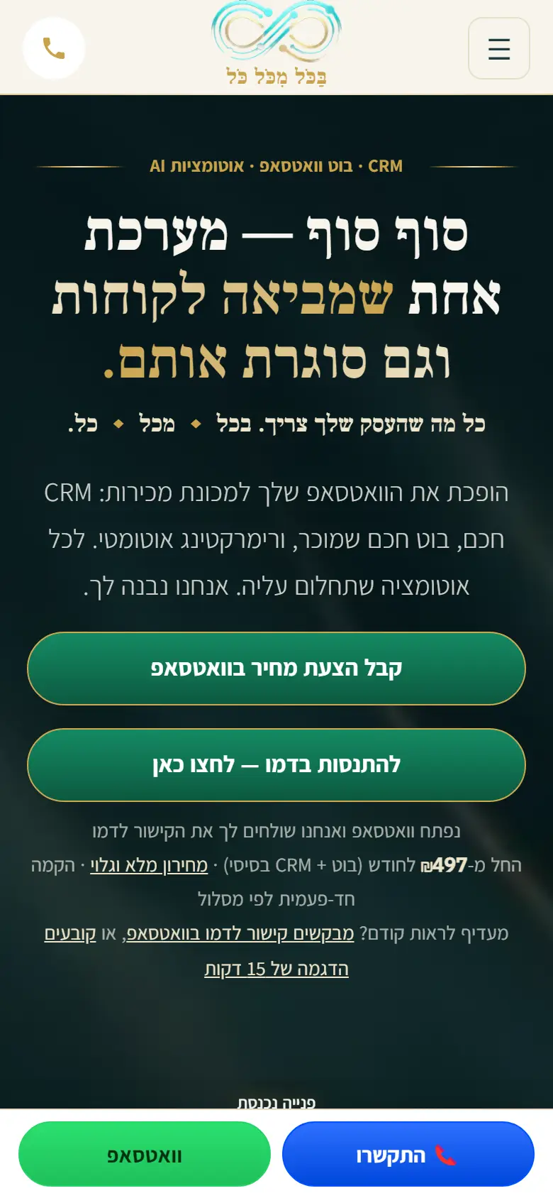 צילום מסך אמיתי — האתר בנייד